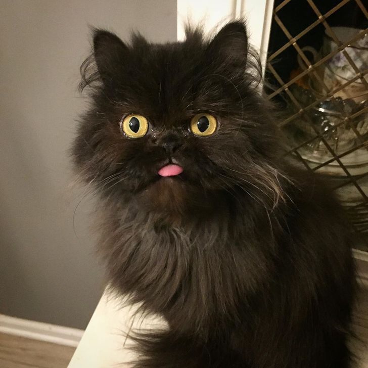 a8892e515ea7ec2a8ee1fcad15