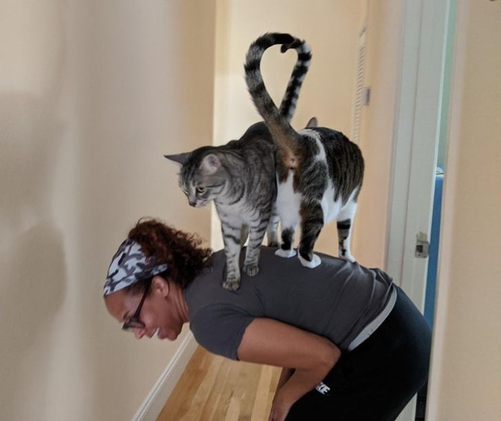 a8a040592895ba47acaecb202e