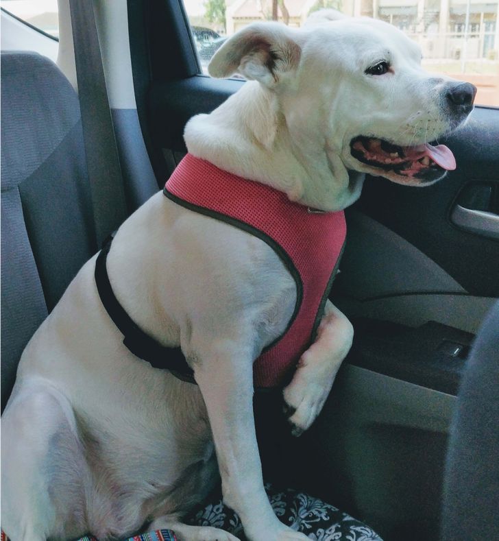 a8a5f554d1b7b08221ca1b9629