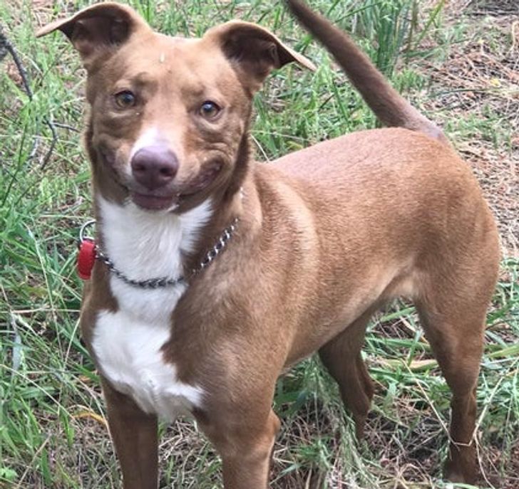 a8abf9574dab5d631e1457213c