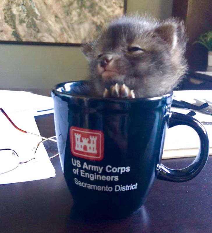 a8b3505ae4b45db5a155de971c