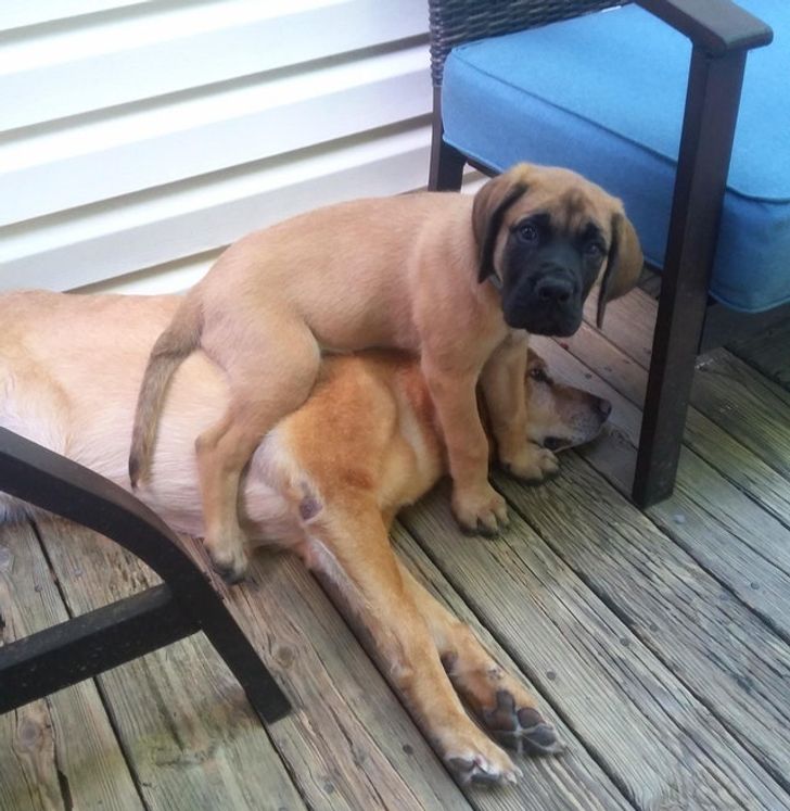 a8b3f85b509e4a15f8aa552a08