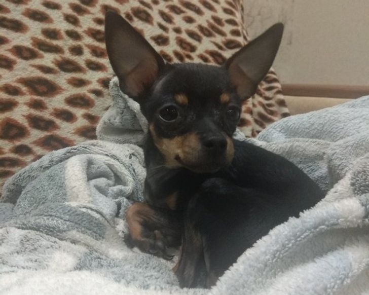 a8b6a95c6f850900d871ed9e21