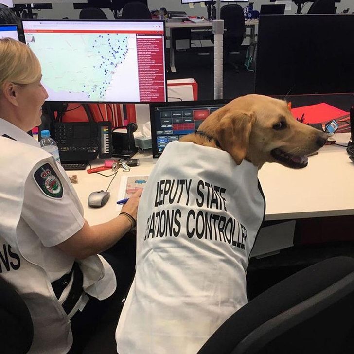 a8ba23597da297db9e342c40f8