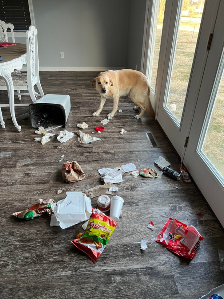 a8bcac55dba6ad198507f4f5b5 a8bcac55dba6ad198507f4f5b5