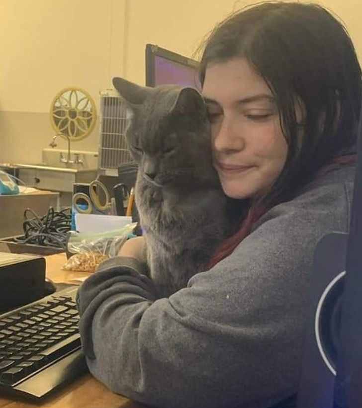 a8bfd258318b1460d743e2a13e