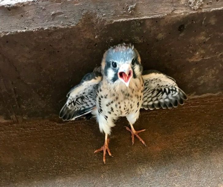 a8c4f65b74b6a3464c9a3b52dd