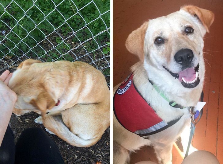 a8c77b5596a909ff7412edcaae