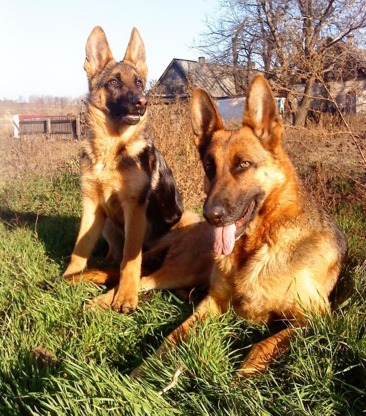 a8c8a65df19f39309490000530