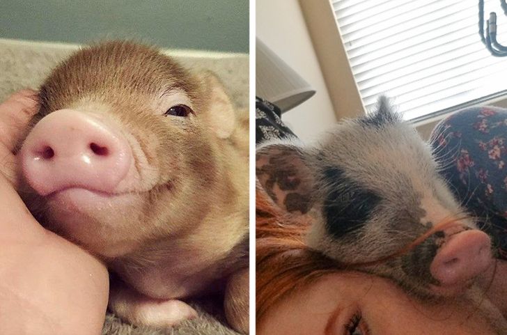 a8d27a58019ddfa8298dac607f