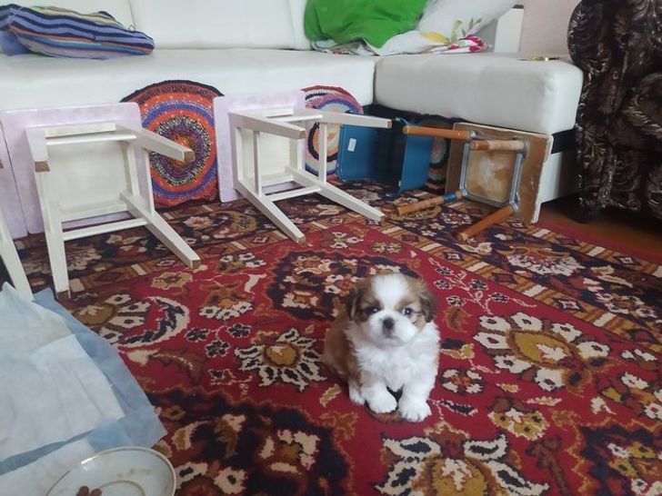 a8d65c5cf4b7ae770a58a510df