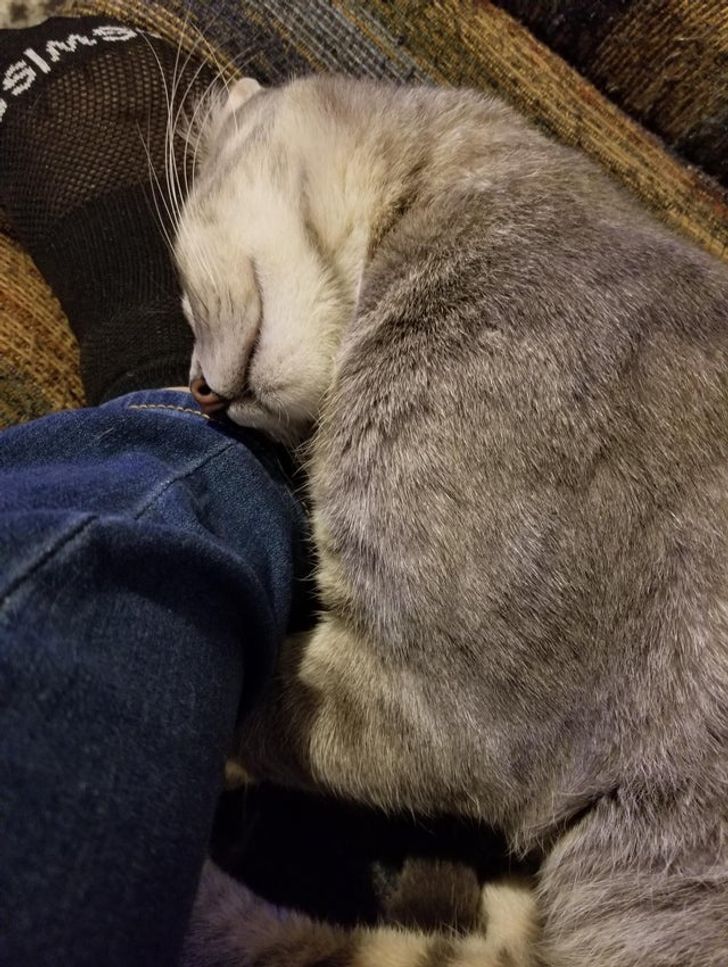 a8e2c457719b29ff9dcc9e51df