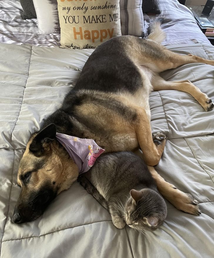 a8e7ed5be7951c108a69a04ffd a8e7ed5be7951c108a69a04ffd