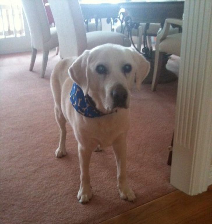 a8f1d3543a8779780f0301d9cf