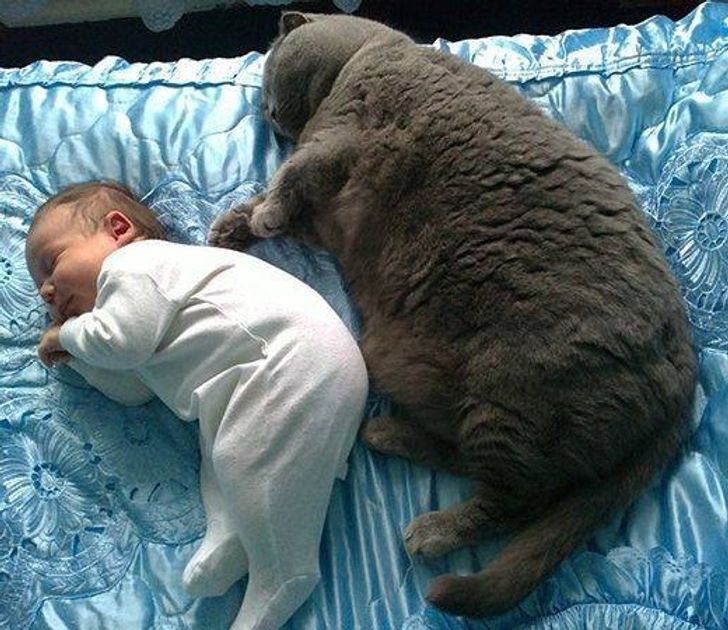 a8fd7f5736bd997c32d4701fed