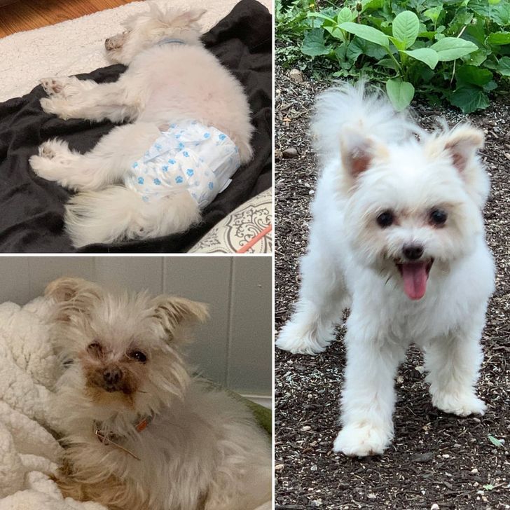 a903f55b8f95d950535f08b761