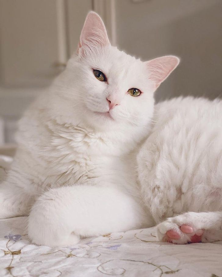 a9048a55a3ae7636cb8b9a6616