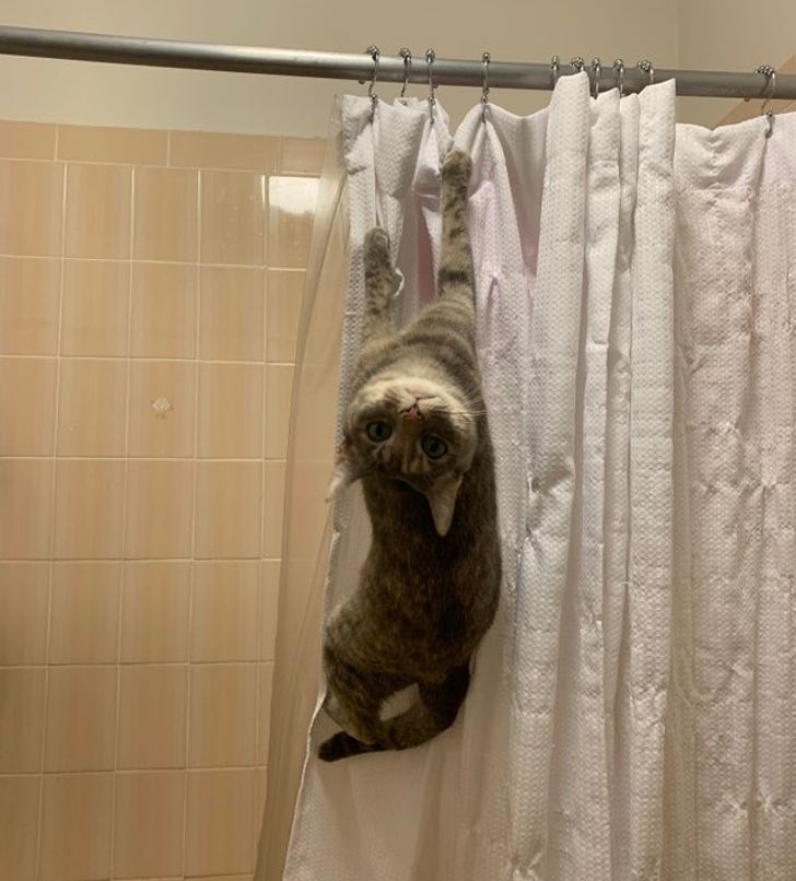 a904aa50a6bcf2603aaac9be9f