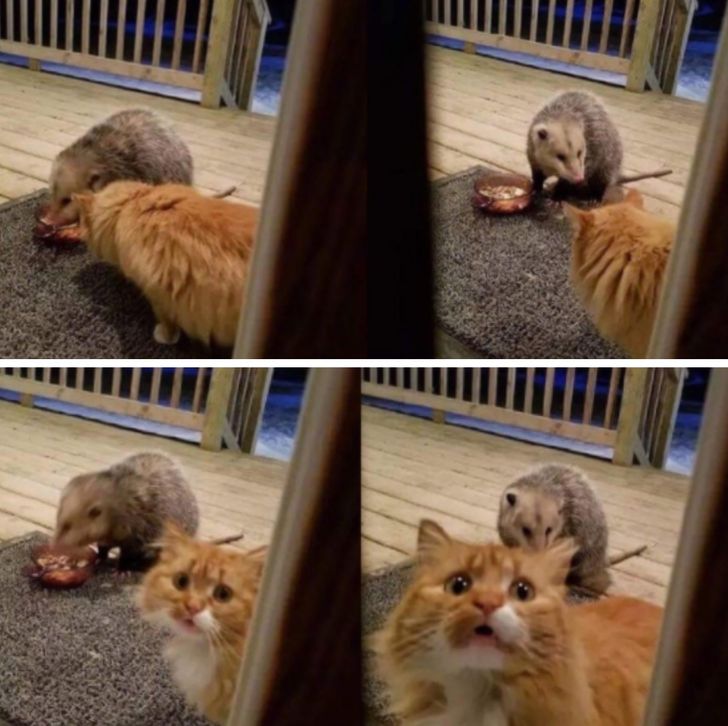 a90fbc50b993c82cdbe5a506f3