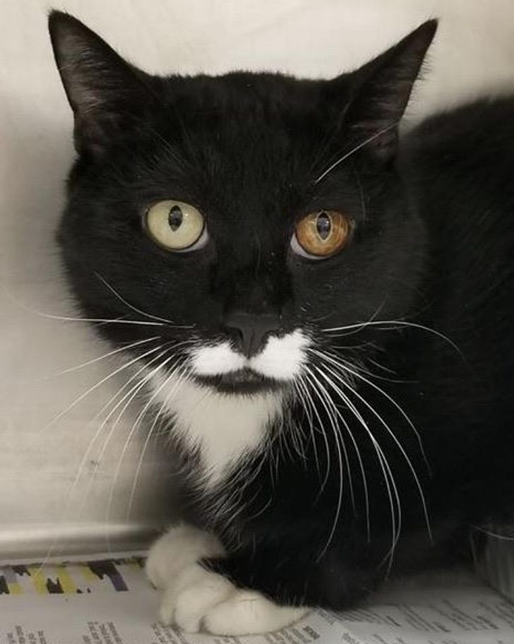 a9121d5f1fa2e33b0c32e2df93