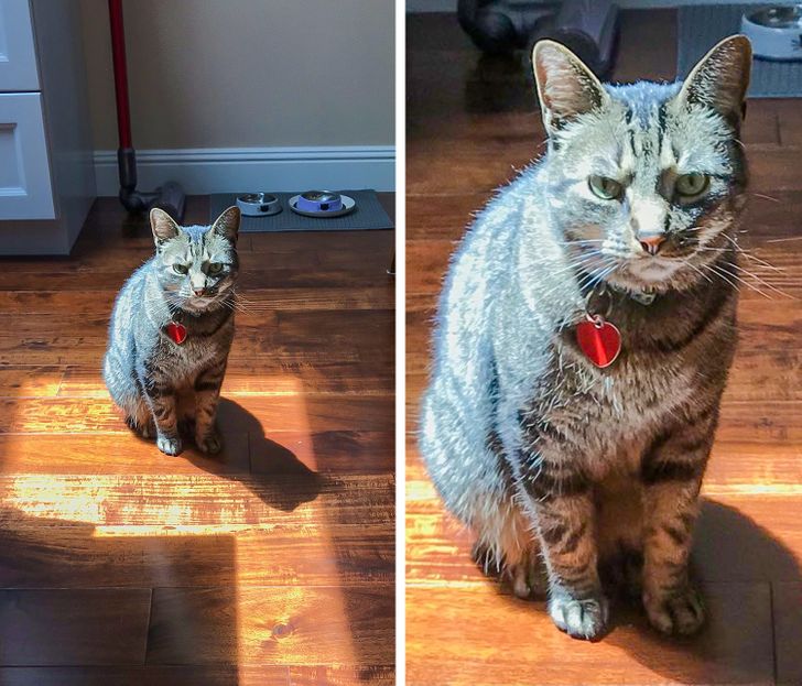 a917835a55803217cc61649f31