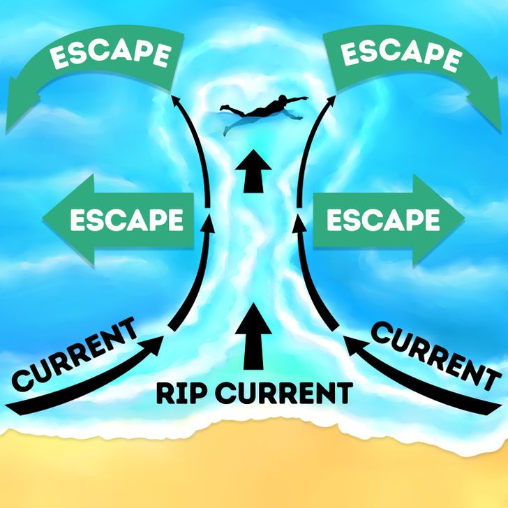 a917ae50e4bf91ec6505b10309 a917ae50e4bf91ec6505b10309