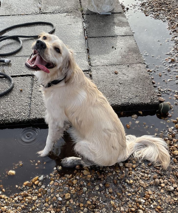 a91ae65377ac6063077e9718f6