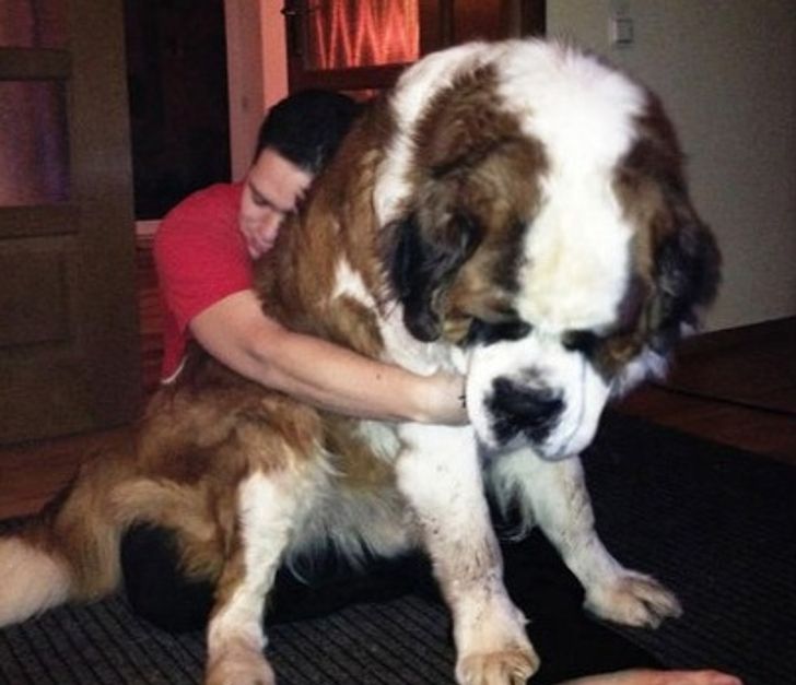 a91c9d59c7960963fd2da529b0