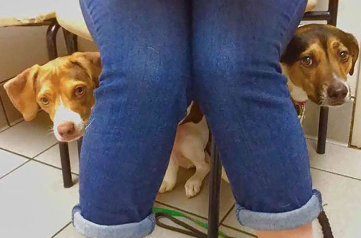 a925d558d3a7f4d98689d202d2