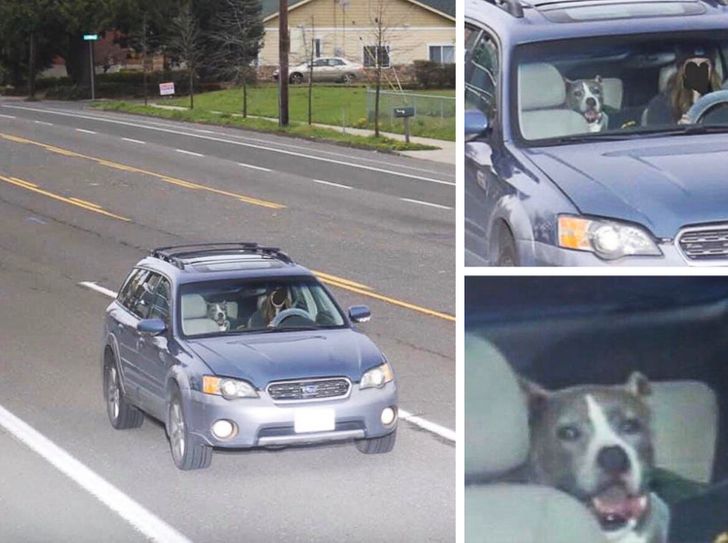 a9262a5964b7a481af4076e3f2