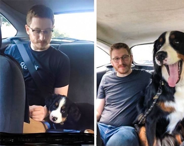 a934f4547a8997d21e2cd7e9a2