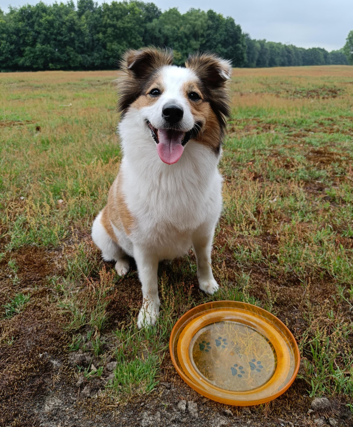 a9390751ef8464aca700c928f4 a9390751ef8464aca700c928f4