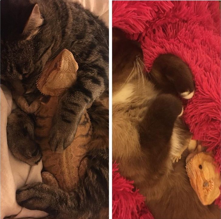 a93c1854789d65404d5ed19812