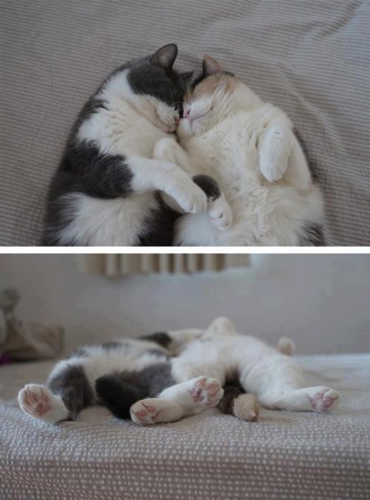 a93d7b5f3a87bc536cf37ad568