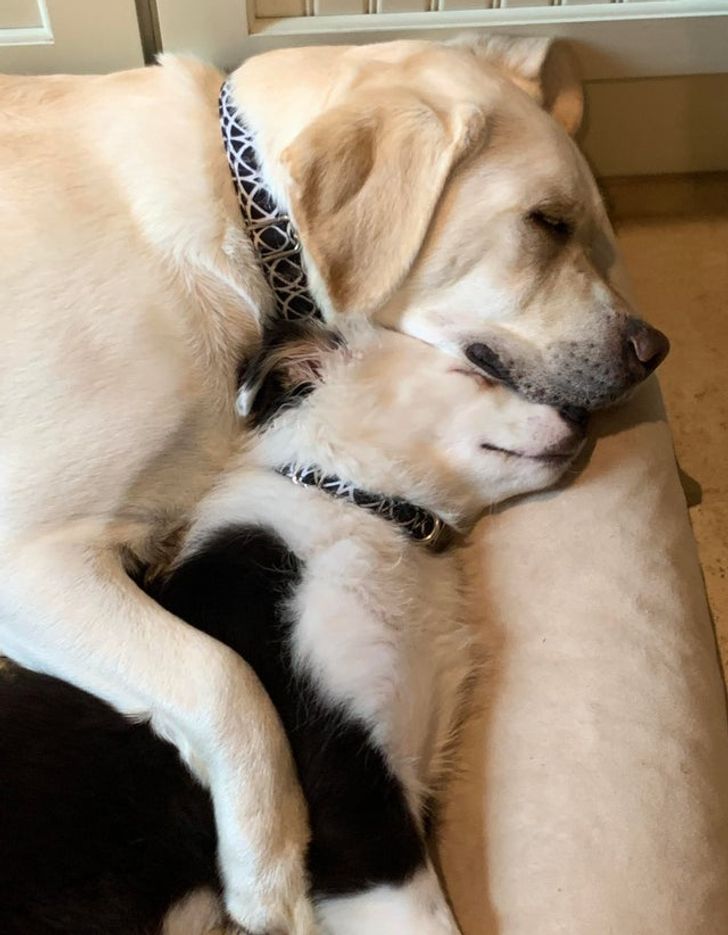 a93fa25dc19a4785f92d894707