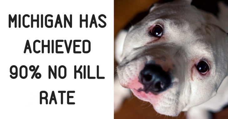 a94b66599eb3b1ed5074572221