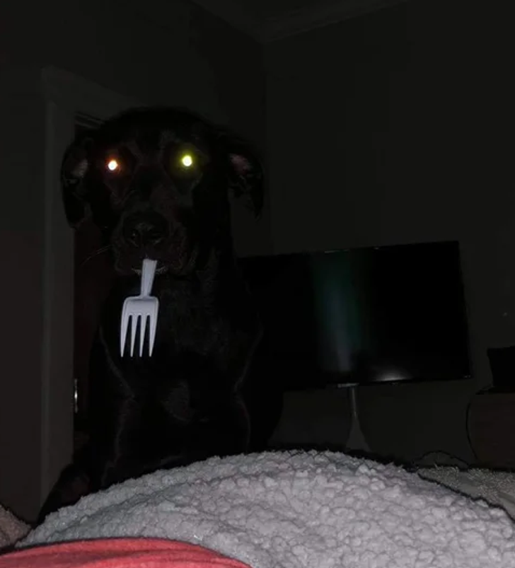 a94be853e2976d26fb64eb744c