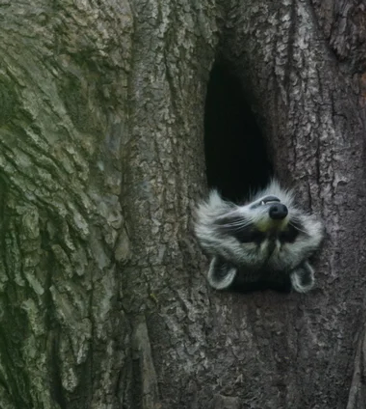 a94d8c5d828238c4b9d1f572bb