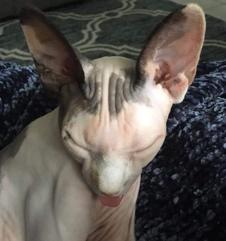 a94fef57f19b0ce6c4d19d32a9