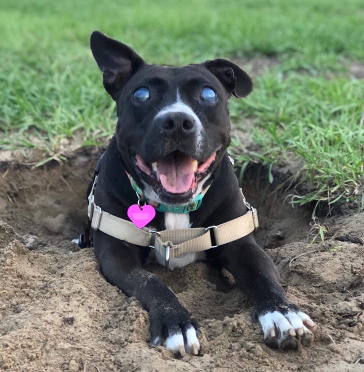 a955ec580a9ddd8035d974e74e