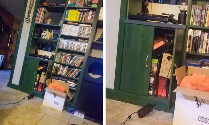 a957b35e48a4a03ccd8dd4b235