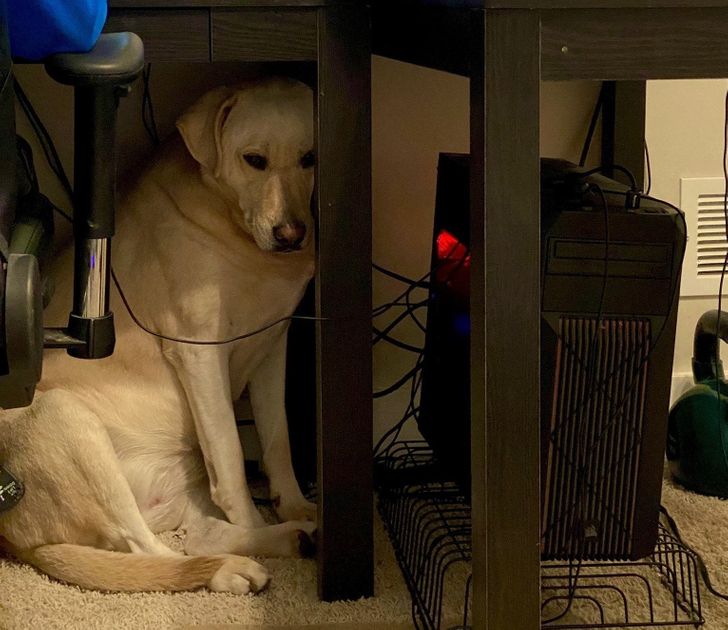 a95988515e94f58bd18221b69c