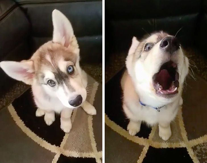 a95f4c53d1b5a9494e0ffc9f36