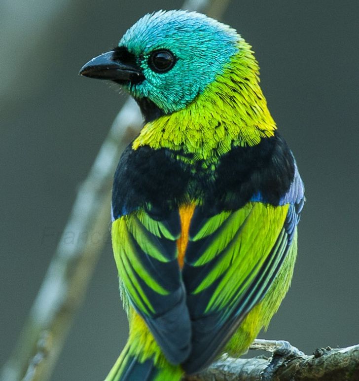 a967c85af5ada1852f2e54dfcf