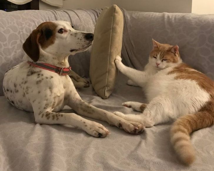 a973d25ad48cb6cf7a4000c1a5