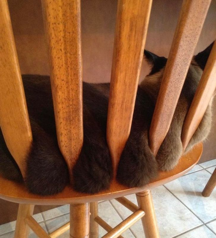 a976415dadbb4b8a90dd6189ab