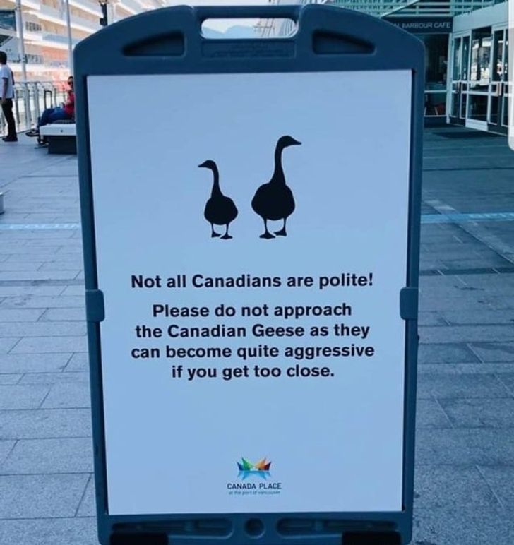 a9782e58919b0098148d5050a2