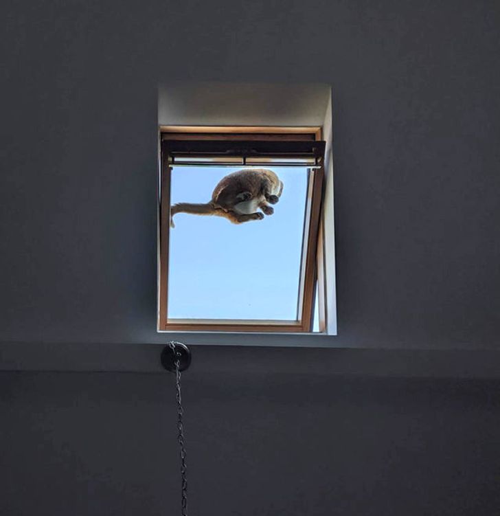 a97c575605a09321eb384dcbda