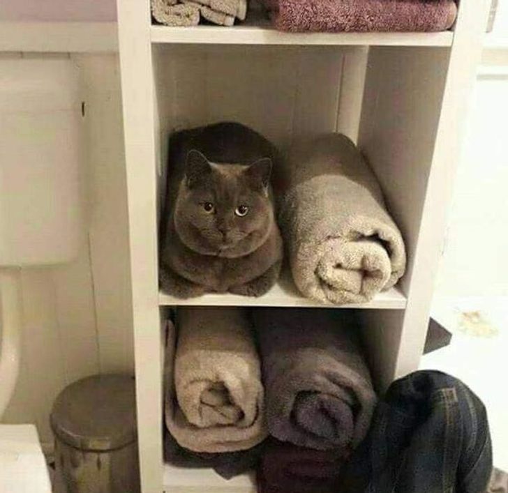 a9885b5c988e1e4a39b8922cf6