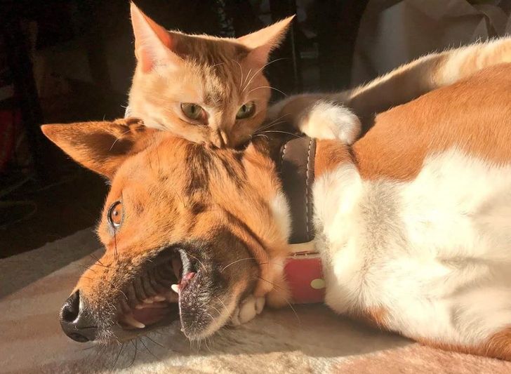 a98945524b8901942cc4d46836